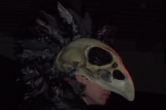 SAM_0178