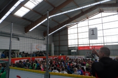 SAM_0204