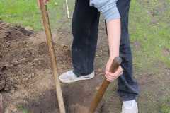 Holzworkshop_1