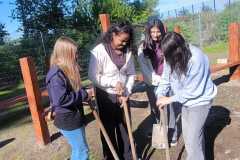 Holzworkshop_108